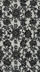 Black Lace Intricacy