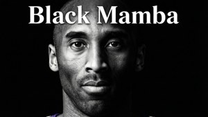 Black Mamba Portrait