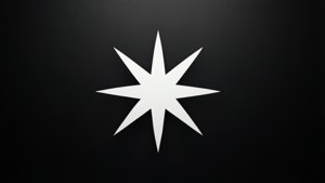 Black Minimalist Asterisk