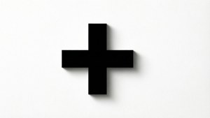 Black Plus Icon