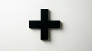Black Plus Minimalist
