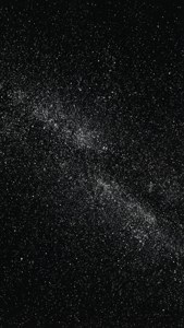 Black Starfield Speckles