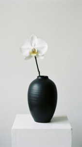 Black Vase with Orchid