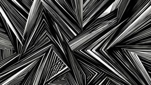 Black White Geometry