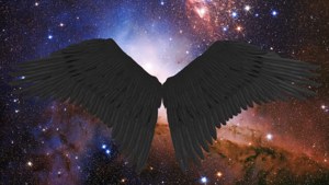 Black Wings in Nebula