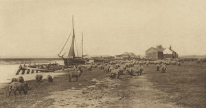 Blackshore, River Bylthe. [Suffolk.]
