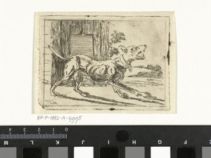 Blaffende hond bij hok
