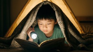 Blanket Fort Reader
