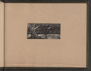Blasted Tree and Flattened Crops