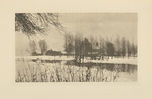Bleak Winter
