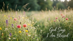 Blessed Abundance