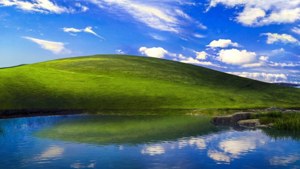 Bliss with River