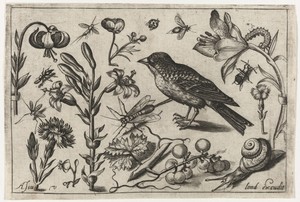 Bloemen, een slak en een vogel