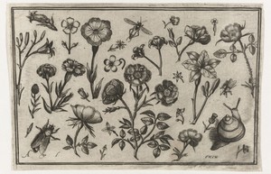 Bloemen, een vlieg en een slak