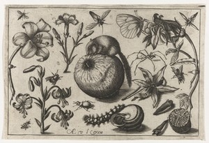 Bloemen en een muis op een appel