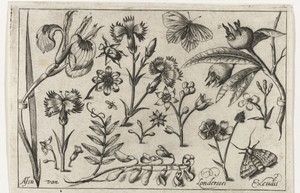 Bloemen en vlinders