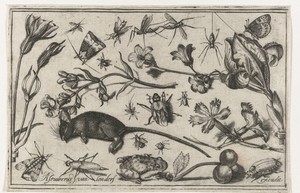 Bloemen, insecten, een kikker en een dode muis