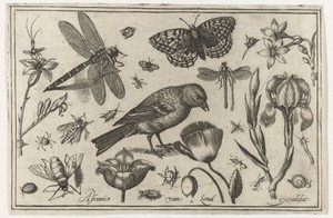 Bloemen, libelle en vogel