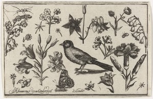 Bloemen, vlinder en een vogel