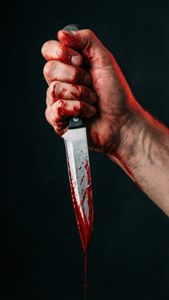 Bloodied Blade