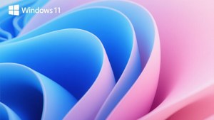 Bloom in Blue and Pink