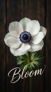 Bloom Quote Anemone