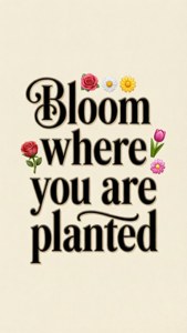 Bloom Typography