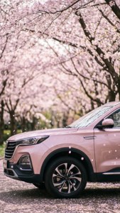 Blossom Rendezvous