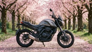 Blossom Ride