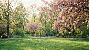 Blossoming Gardens