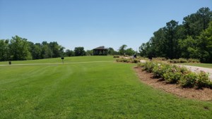Blount Park Serenity