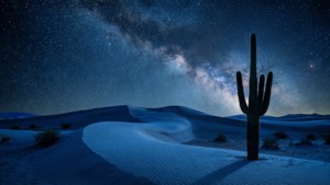 Blue Desert Night