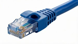 Blue Ethernet Cable Isolate