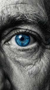 Blue Eyes Macro