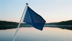 Blue Flag Lake Dawn