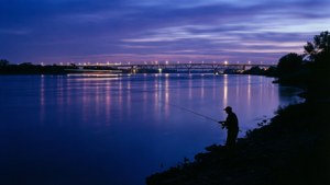 Blue Hour Silhouette