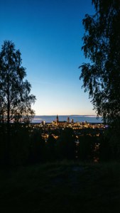 Blue Hour Skyline
