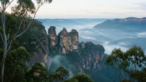 Blue Mountains Mist