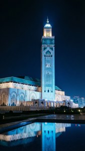 Blue Night Illumination