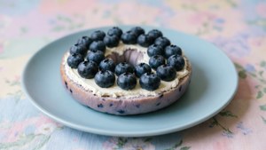 Blueberry Bagel Pastel