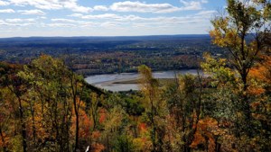 Blueberry Hill View