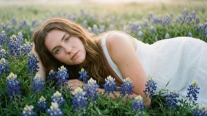 Bluebonnet Dreams