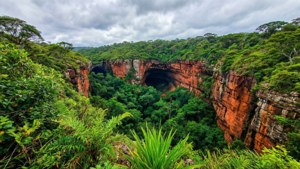 Blyde River Canyon Green