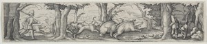 Boar Hunt