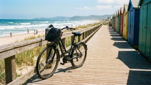 Boardwalk Beach Bike