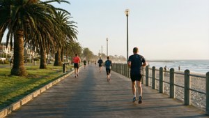 Boardwalk Morning