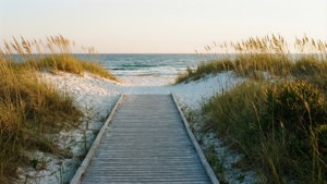 Boardwalk Through Dunes