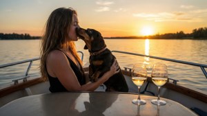 Boat Sunset with Dachshund
