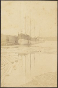 [Boats and Timber]