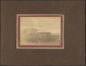 [Boats in Grass]